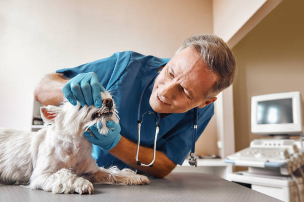 Best Emergency Dental Surgery in Park Ridge, IL